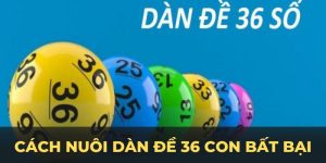 Cách nuôi dàn đề 36 con bất bại