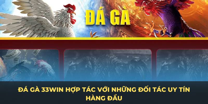 Đá gà 33Win hợp tác với những đối tác uy tín hàng đầu