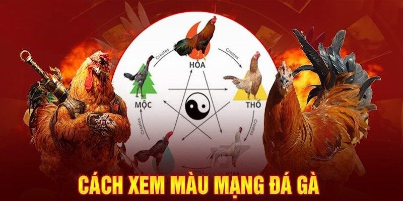 Thông tin sơ lược về thuật ngữ màu mạng gà đá