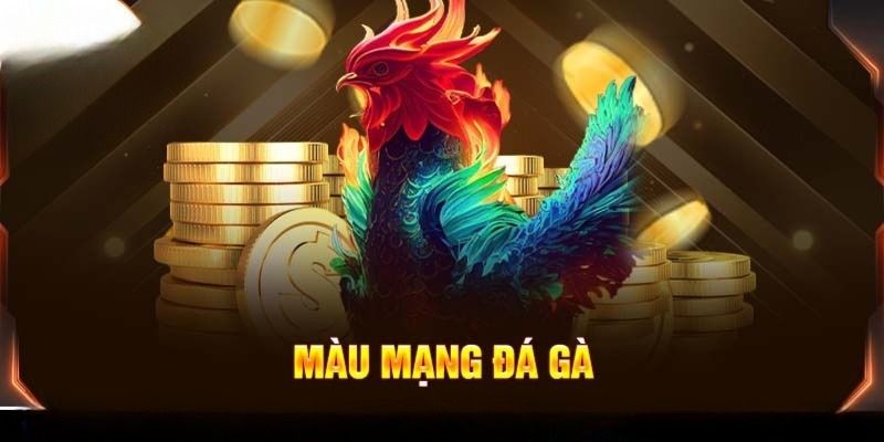 Loại màu mạng gà đá mang sắc nâu có thể tham gia thi đấu